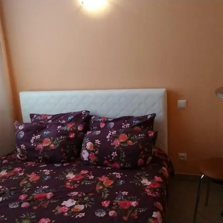 Lubi Zori